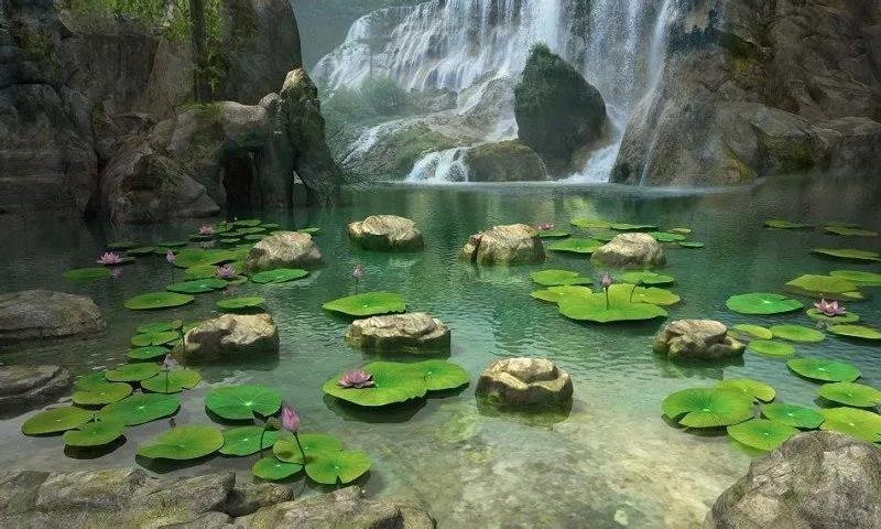 �����ࡢ��õĻ������������е���ѻ���