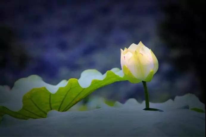 ��Ҫѹ�֣��������Լ��з���