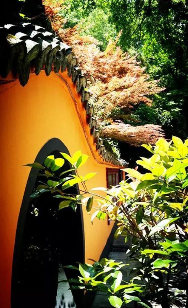 ��������Щ��ν���Ž��ɣ��㻹Ҫ��ƭ��ã�