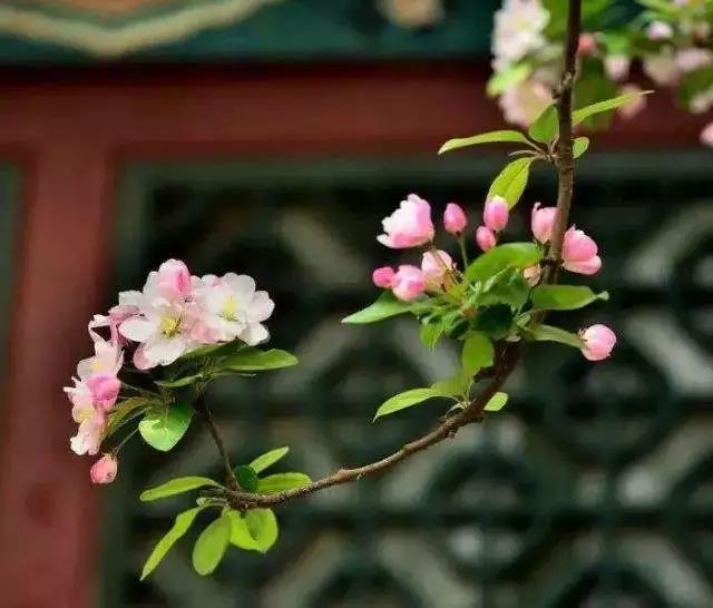 �����������������ƻ����й�ϵ��