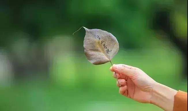 真正的修行,是“历境验心”,是时刻保持醒觉 真正的修行,是“历境验心”,是时刻保持醒觉