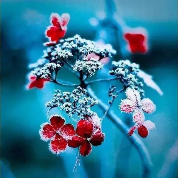 真正的修行,是“历境验心”,是时刻保持醒觉 真正的修行,是“历境验心”,是时刻保持醒觉