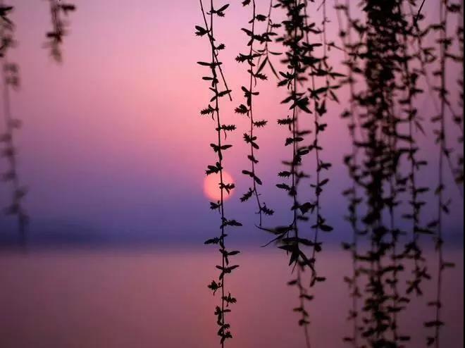 警惕:这“三种感觉”,会让你的人生过得更辛苦! 警惕:这“三种感觉”,会让你的人生过得更辛苦!