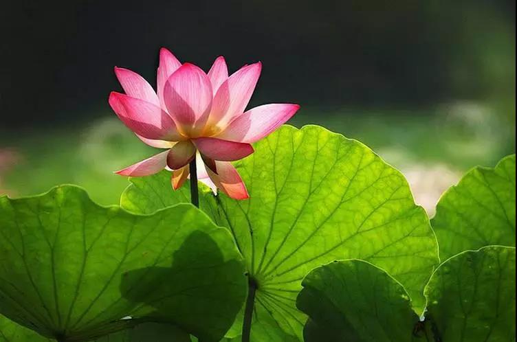 警惕:这“三种感觉”,会让你的人生过得更辛苦! 警惕:这“三种感觉”,会让你的人生过得更辛苦!