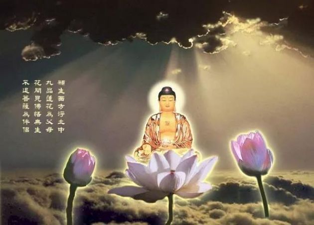 ��ѧ��������Ӧ��ԭ����ڣ�