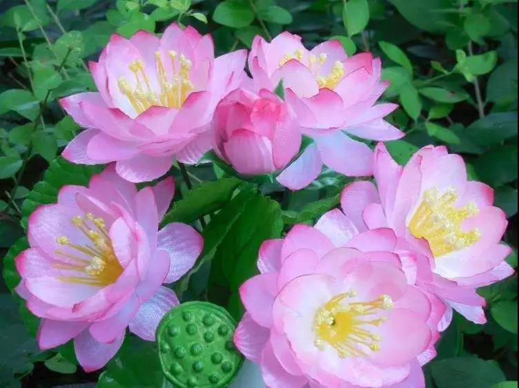 ��Ҫ����ˣ��������¾��Բ�������