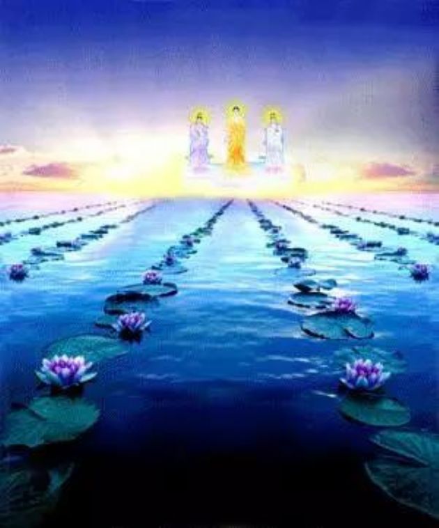 ������һ����ҵ���ص��ˣ������ӷ���������