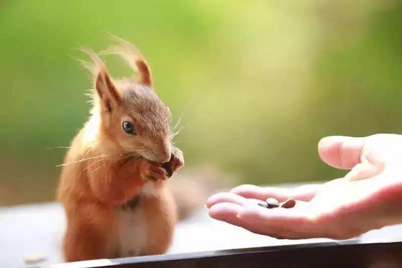 ����ΪʲôҪ������������Բ���Ľ��