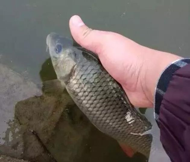 ����ΪʲôҪ������������Բ���Ľ��