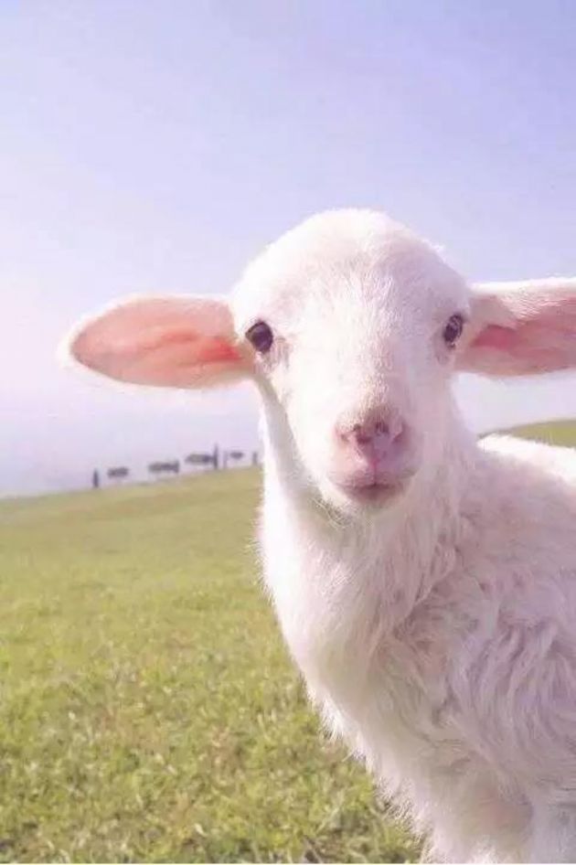 ����ΪʲôҪ������������Բ���Ľ��