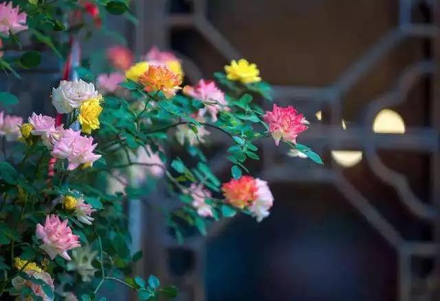 �𷨸ı����ˣ�һ�㶼�����ţ�