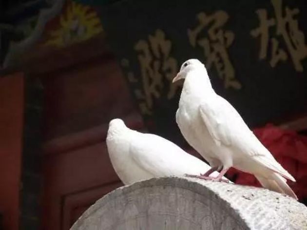 佛法很难懂?送给你十条最接地气的修行方法 佛法很难懂?送给你十条最接地气的修行方法