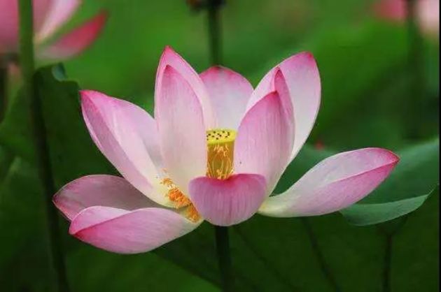 佛法很难懂?送给你十条最接地气的修行方法 佛法很难懂?送给你十条最接地气的修行方法