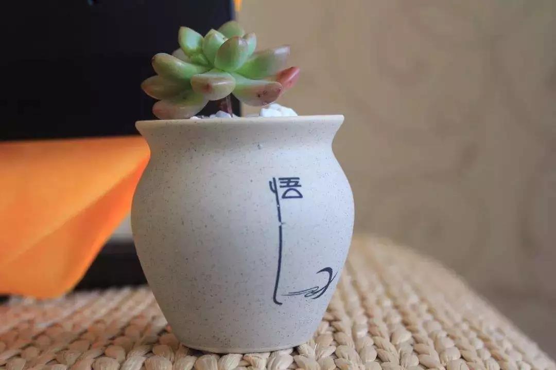 ѧ�������������������߱�����Ҫ��