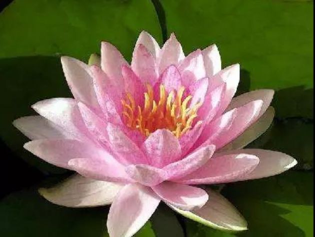 ѧ�������������������߱�����Ҫ��