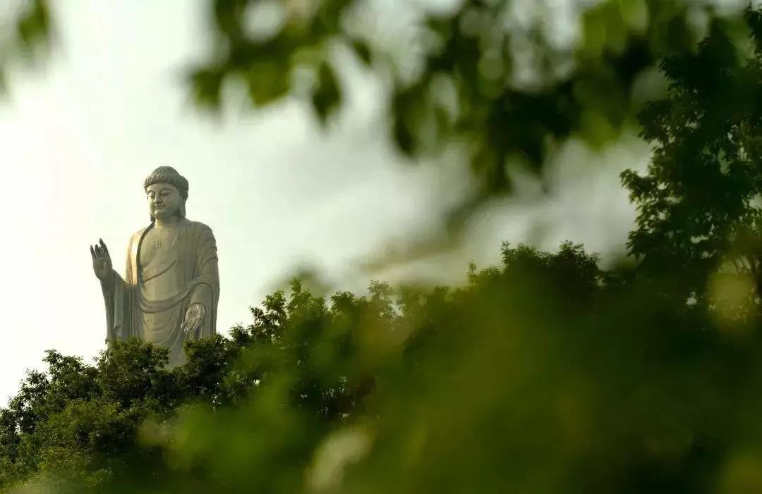 怎样将佛法融入生活?人成即佛成! 怎样将佛法融入生活?人成即佛成!