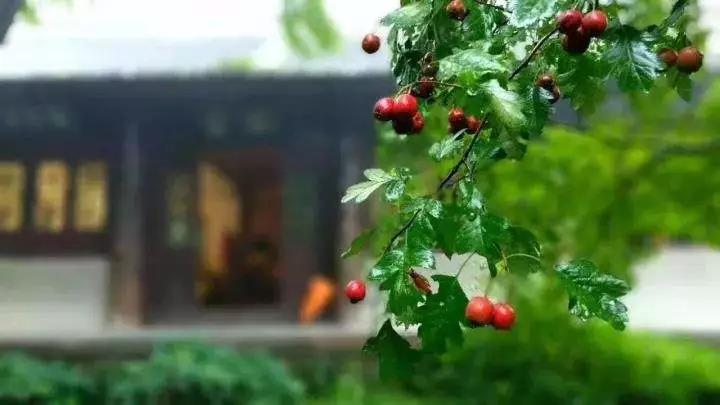 ��_���سɷ�_��_�п�����