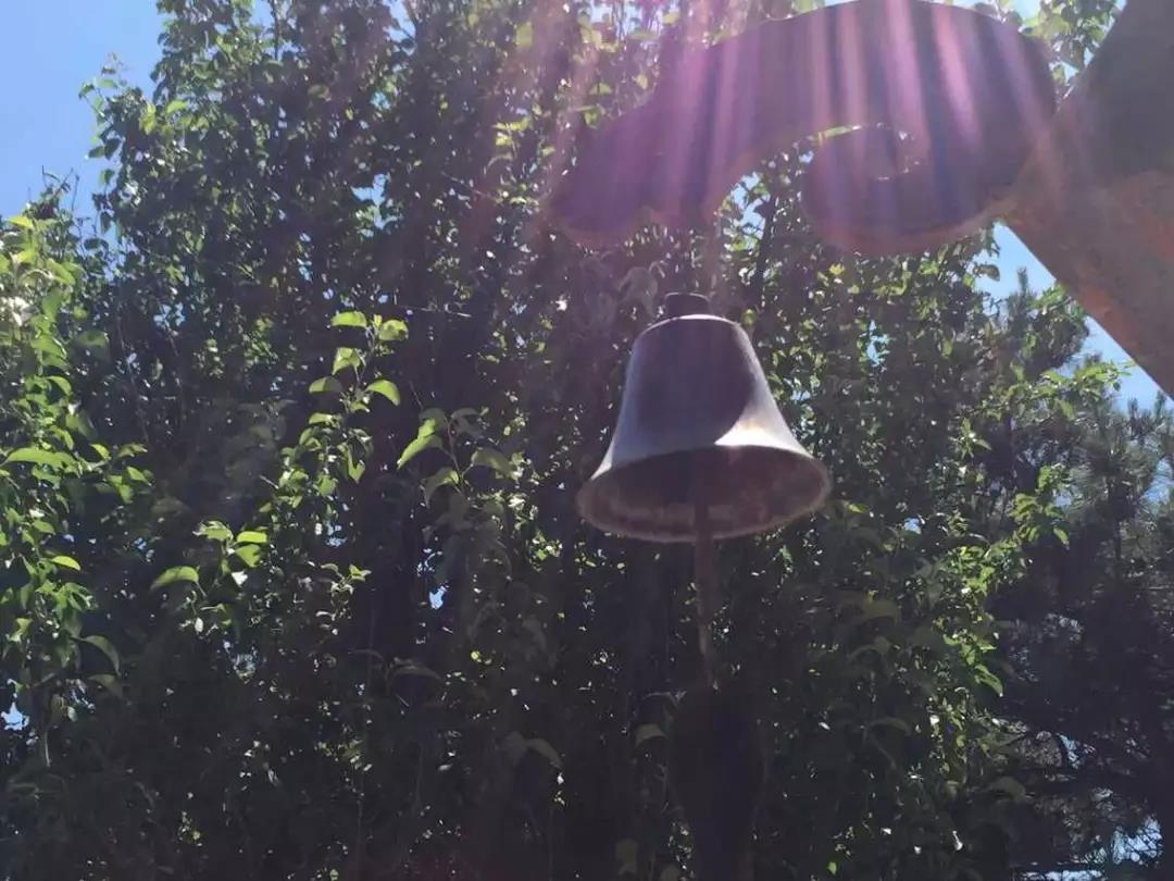 万万没想到,还能遇到这种奇人奇事 万万没想到,还能遇到这种奇人奇事