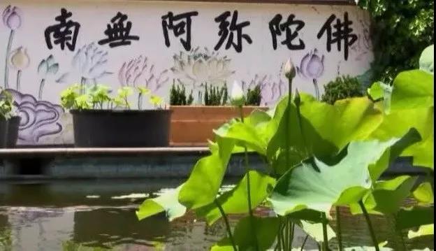 �ŷ�����Σ�������һ�㣿