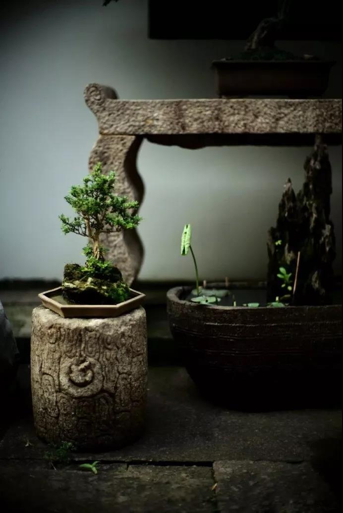 �����˵��Ը�Ҫ��һ��ֹ�