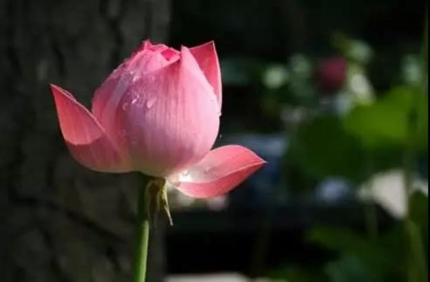 一诚长老:心定了就是禅 一诚长老:心定了就是禅