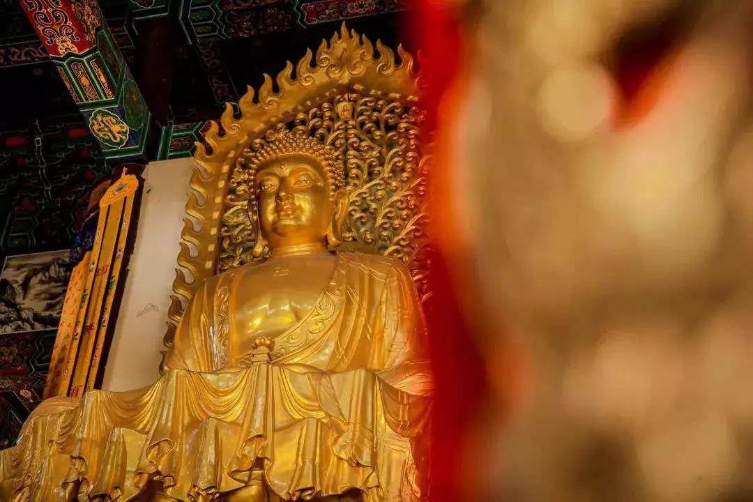 ӡ�ⷨʦ���������߽Կ����𣬺ε�νä����Ʋ���������