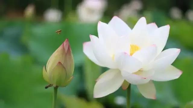 ���Ŀ��������Ǿ���������ţ����ǹؼ���