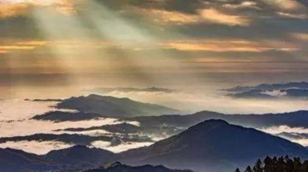 众生有病,佛就有药来对治 众生有病,佛就有药来对治