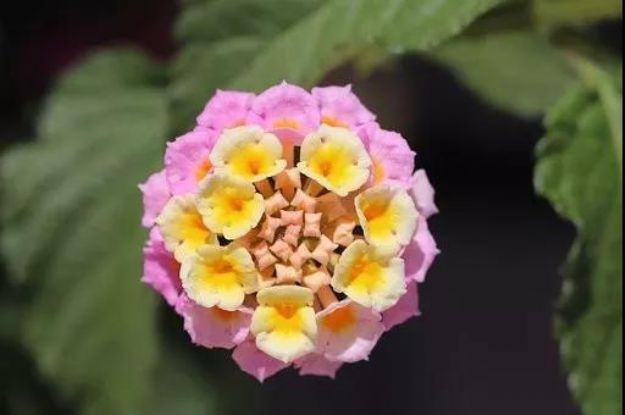 在业力的推动下,没有人是故意的 在业力的推动下,没有人是故意的