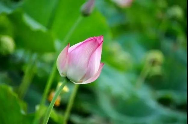 为什么说_“福慧双修”_是改变命运的殊胜法门? 为什么说_“福慧双修”_是改变命运的殊胜法门?