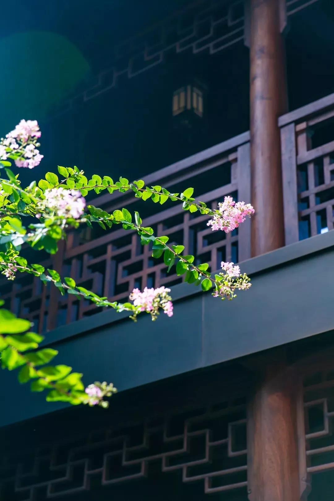 为什么说_“福慧双修”_是改变命运的殊胜法门? 为什么说_“福慧双修”_是改变命运的殊胜法门?