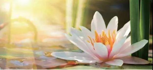 ��Ȼ�����ǿ��࣬�Ǽ������к������أ�