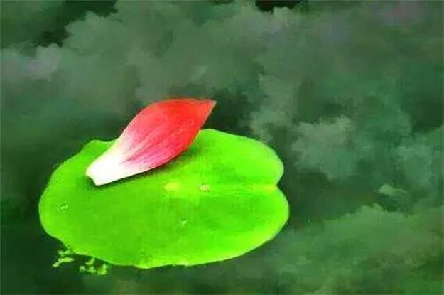 ������վ���һ�꣬ȴ������������ô�죿