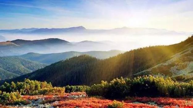 学佛法就是用佛法的镜子检讨自己 学佛法就是用佛法的镜子检讨自己