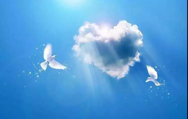 生活禅宗旨:觉悟人生,奉献人生 生活禅宗旨:觉悟人生,奉献人生