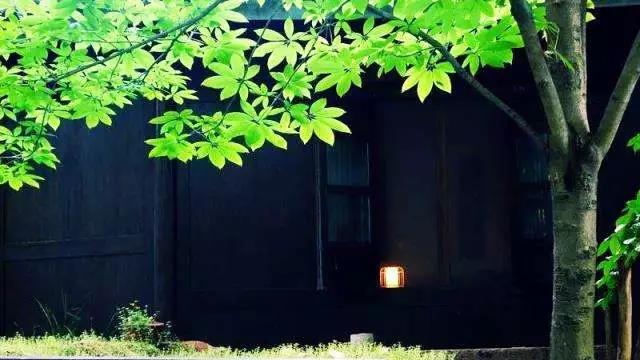 生活禅宗旨:觉悟人生,奉献人生 生活禅宗旨:觉悟人生,奉献人生