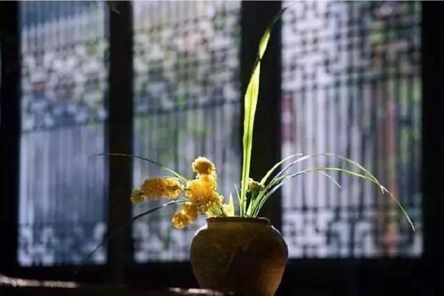 生活禅宗旨:觉悟人生,奉献人生 生活禅宗旨:觉悟人生,奉献人生