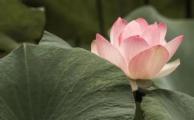 再多烦恼,修好这三个字都能彻底解决! 再多烦恼,修好这三个字都能彻底解决!