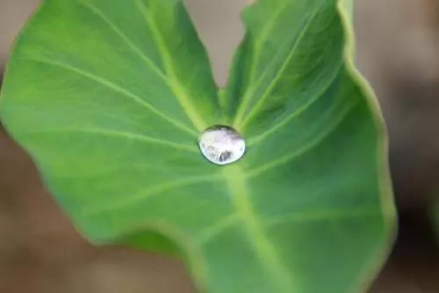 佛性,在生活中处处都可以体会 佛性,在生活中处处都可以体会