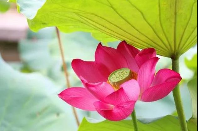 ���벻�ң���ȫ���Լ�����