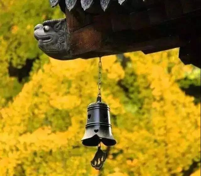 你的内心有多少别人不能碰的“按钮”? 你的内心有多少别人不能碰的“按钮”?