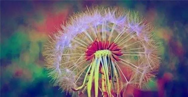 һ���ı����Լ������ģ�һ�оͶ��ı���