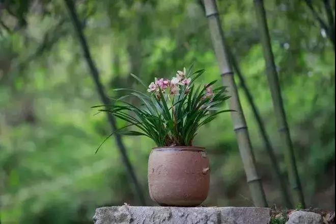 һ���ı����Լ������ģ�һ�оͶ��ı���