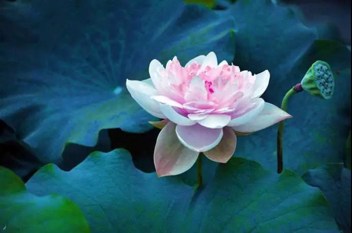 ��Ը���Ķ�������׼�����Ƕ�����