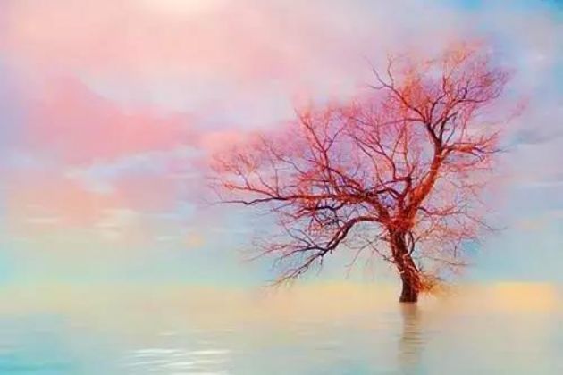 想清楚这15个问题,一切就都明白了 想清楚这15个问题,一切就都明白了