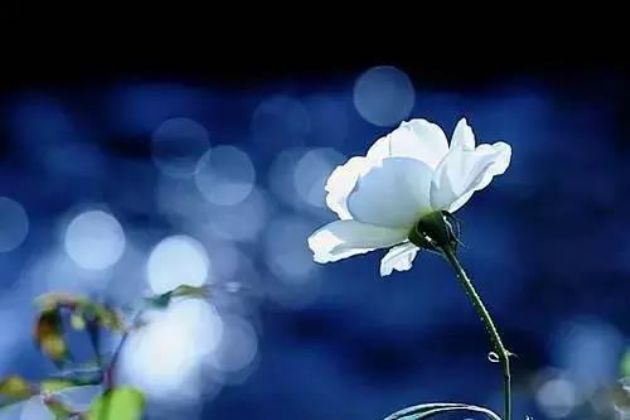 想清楚这15个问题,一切就都明白了 想清楚这15个问题,一切就都明白了