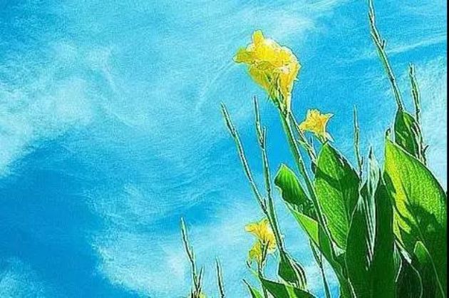 想清楚这15个问题,一切就都明白了 想清楚这15个问题,一切就都明白了