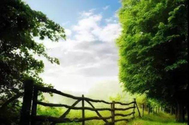 想清楚这15个问题,一切就都明白了 想清楚这15个问题,一切就都明白了