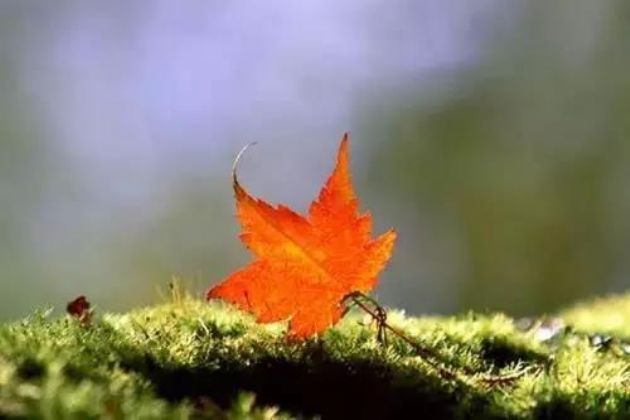 想清楚这15个问题,一切就都明白了 想清楚这15个问题,一切就都明白了