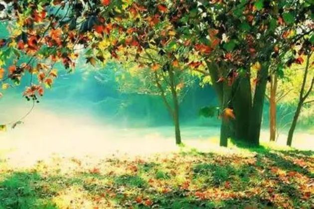 想清楚这15个问题,一切就都明白了 想清楚这15个问题,一切就都明白了